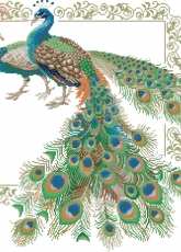 Riolis 767 Peacocks PCS