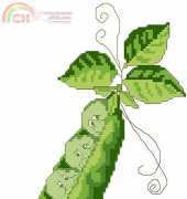 designs by gloria FOUR PEAS IN A POD