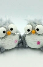 owls
