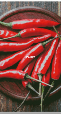 Yariskins Polychrome- ЯМ-037 Peppers by Irina Yakovleva XSD