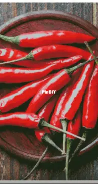 Yariskins Polychrome- ЯМ-037 Peppers by Irina Yakovleva XSD