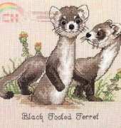 Gloria & Pat Black Spotted Ferret