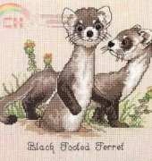 Gloria & Pat Black Spotted Ferret