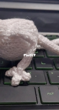 New super star model, Froggy Frog