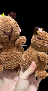 My Capybara