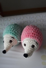 mini hedgehogs