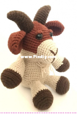 Kittys Schatzkiste - Kathi Goat - German