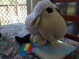 sheep