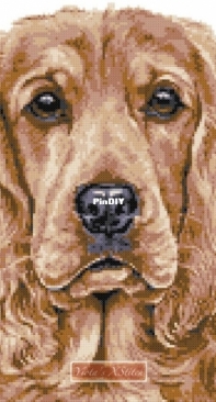 Yiotas XStitch - Golden cocker spaniel (v2)