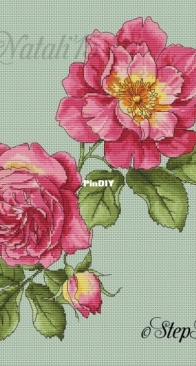 Roses by Nataliya Stepanova