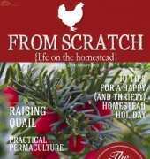 From Scratch - December 2014 - January 2015