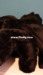 Huge Toothless