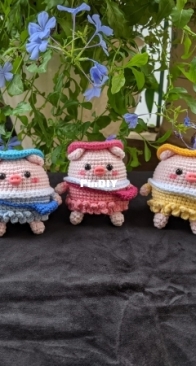 Pig
