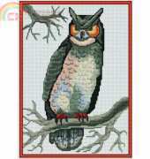 Club Point de Croix - Master Owl