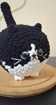 Gato personalizado