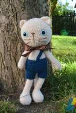 my cat