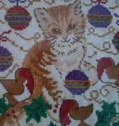 Christmas kitten & Robbins