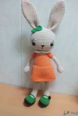 Orange bunny