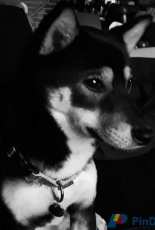 my sweety