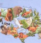 Pegasus Originals The Continents Series - The United States of America