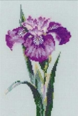 Riolis 1374 The King of Flowers XSD