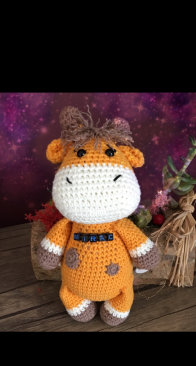 Giraffe for a Boy