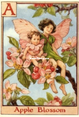Tilton Crafts - A Apple Blossom Flower Fairy (Alphabet Fairy Collection)