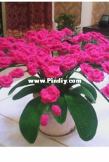 nice flower