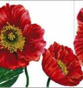 DOME 100407 Blooming Poppies 2