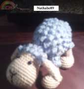un petit mouton