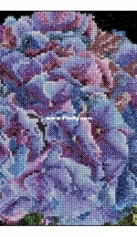 Thea Gouverneur - TG 0497 - Hydrangea XSD