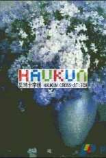 Haukun H-009