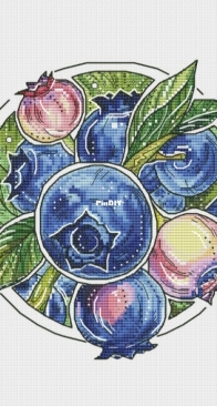 Blueberry Botany - Alisa Okneas