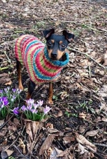 Lous Pulli by Martina Sommer -English-Free