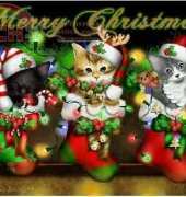 HAEDMED 12375 Purrfect Stocking Stuffers