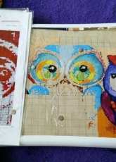 Haed Owls