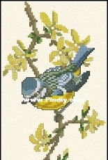 Eva Rosenstand 12-254 - Blue Tit XSD