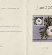 atalie - biscornu juin
