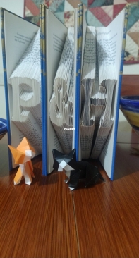 A different use for the old books