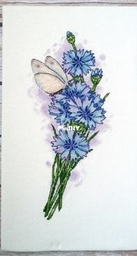 Anna Nolfina - 0741 - Cornflowers