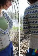 Little Birds cardigan by Ysolda Teague