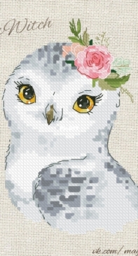 Marshmallow Witch - Baby Owl by  Asya Pristavova / Zephyr Witch