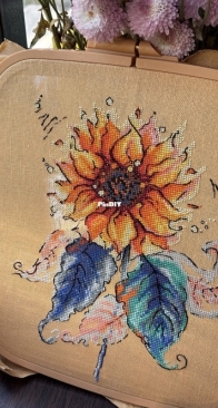 Sunflower by Yuliya Do / Julia Dormidontova