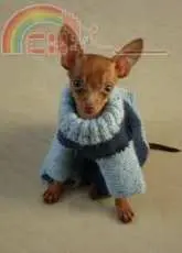 Unknown Designer - Overalls for the toy terrier - Russian - Free