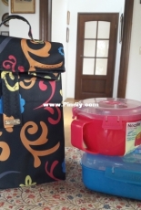 Lunch box with a lizard - My work