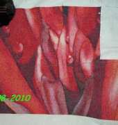Canna with waterdrops -"La mia follia" "My madness"