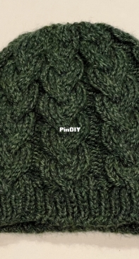 Braid Cable Hat by Tasha Moorjani-Free