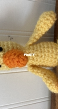 Ducky