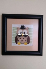Little Owl