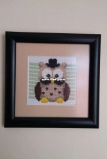 Little Owl